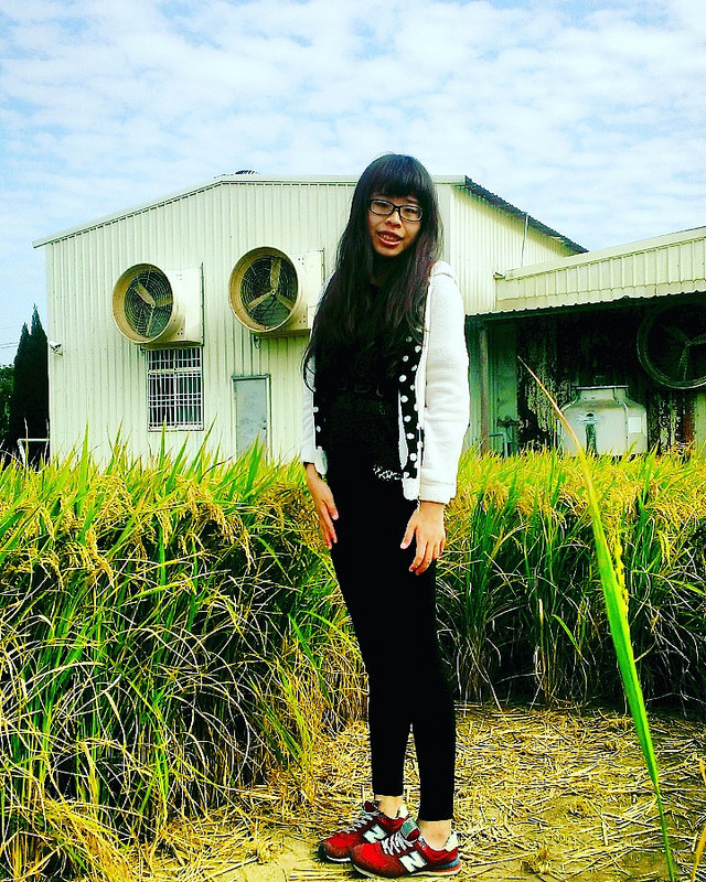 IMG_20151205_235938 IMG_20151205_235938