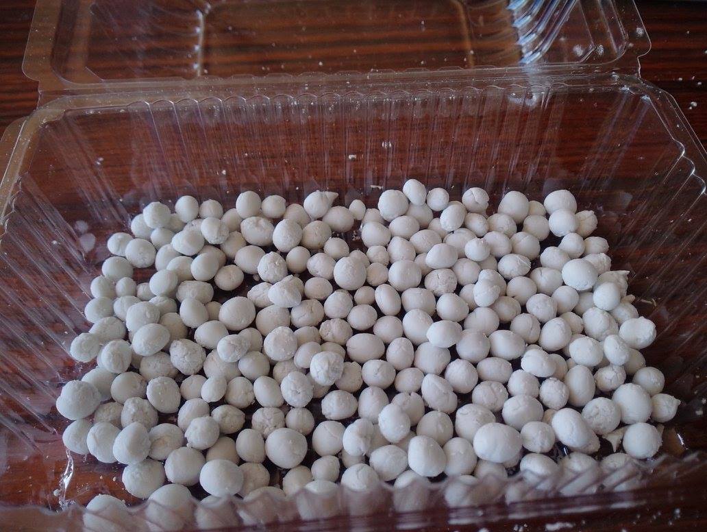 奇麗灣-珍奶文化館????宜蘭一日遊????情侶/親子同樂好景點????重視環保與社會責任並重的良心企業(港式飲茶/珍奶珍珠DIY/故事館/景觀/園區導覽)