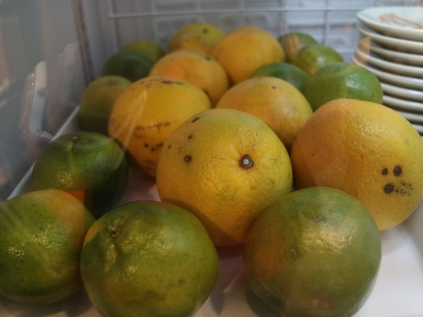 好久不見原創麻辣鍋吃到飽(西門店)：【台北美食】好久不見原創麻辣鍋吃到飽(西門店)@捷運西門站