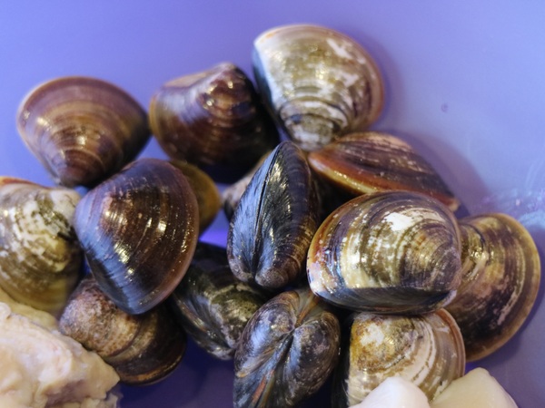好久不見原創麻辣鍋吃到飽(西門店)：【台北美食】好久不見原創麻辣鍋吃到飽(西門店)@捷運西門站
