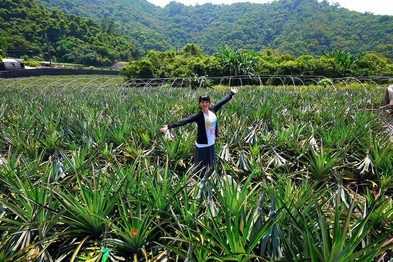 P1790934.jpg P1790934.jpg