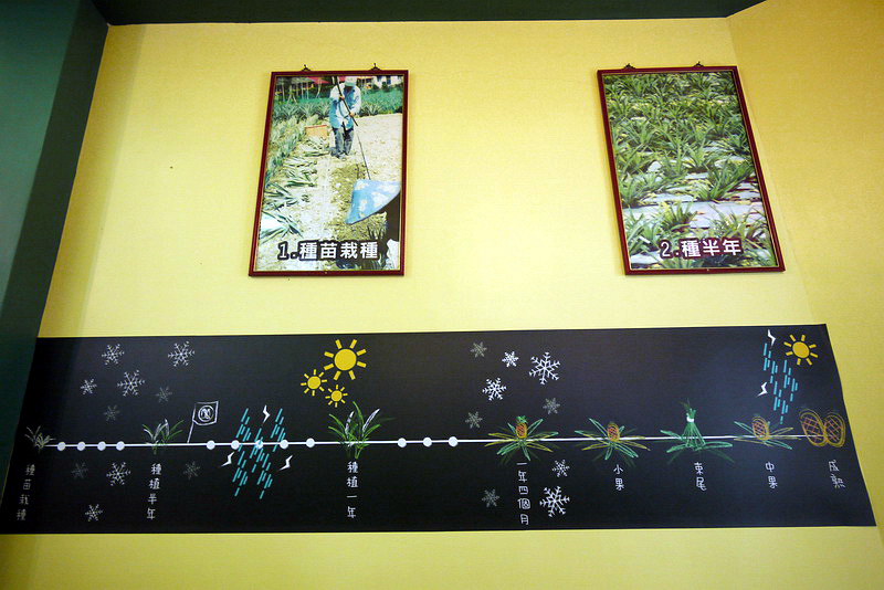 P1790895.jpg P1790895.jpg