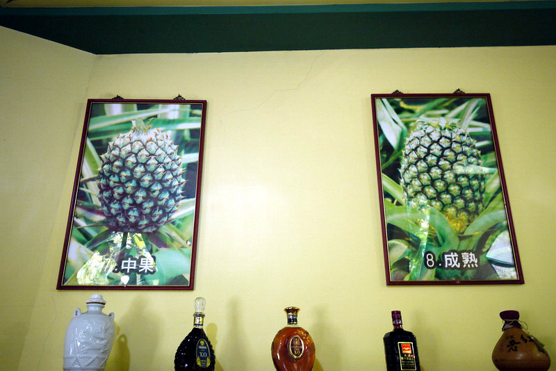 P1790899.jpg P1790899.jpg