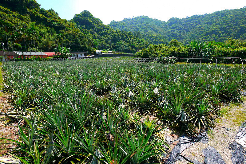 P1790923.jpg P1790923.jpg