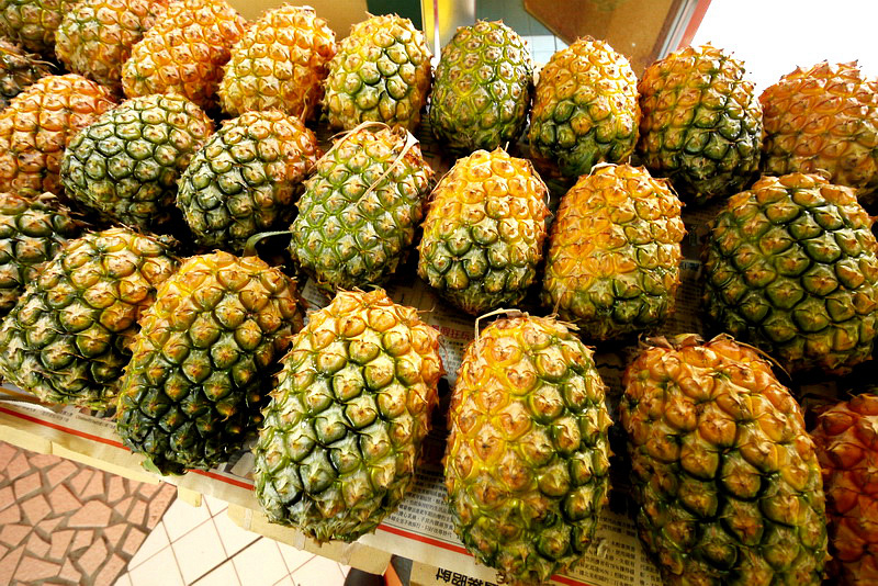 P1790916.jpg P1790916.jpg