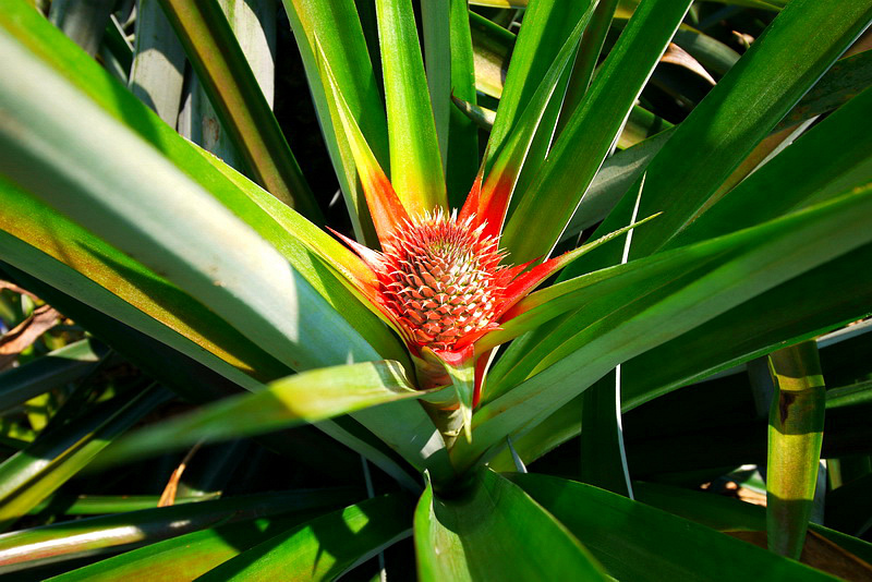 P1790926.jpg P1790926.jpg