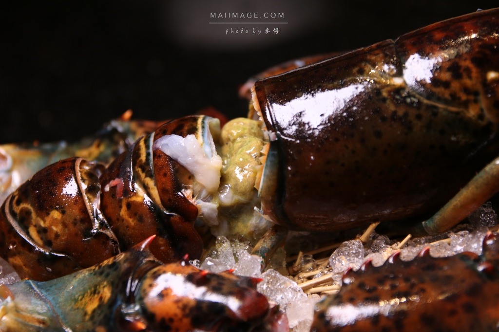 鍋物食記|八田帝王蟹鍋物(忠孝店)|全新推出蝦蟹海龍船/帝王蝦蟹海陸套餐|天冷吃鍋就是要吃的澎湃又不傷荷包 - 麥仔の生活日記