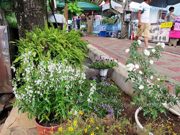 山川琉璃吊橋：細雨霏霏。山川琉璃吊橋~