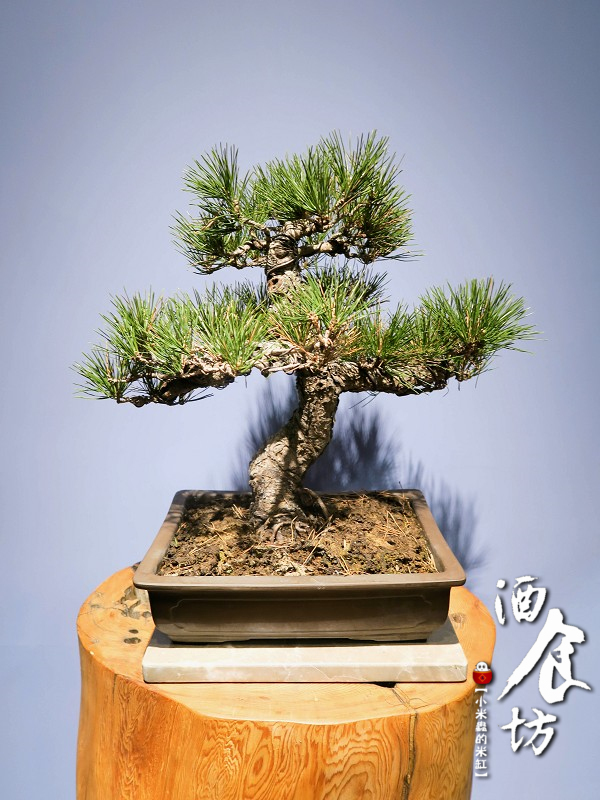 【捷運南京三民站】酒食坊-精緻特色辦桌菜、時尚小酒館空間!