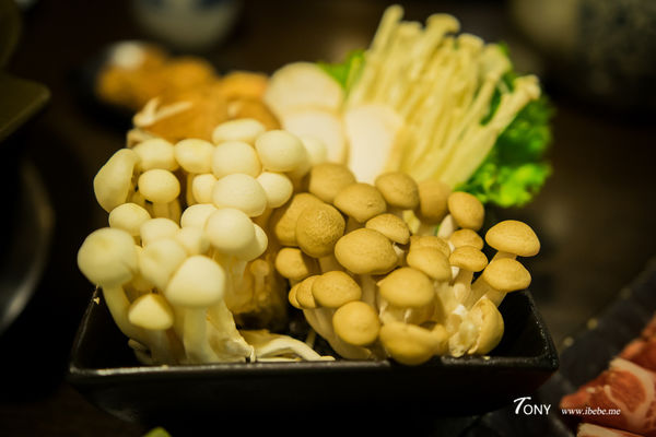 DSC02182.jpg DSC02182.jpg