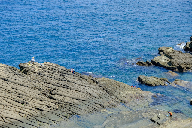 【基隆】假日漫步忘憂谷，潮境公園