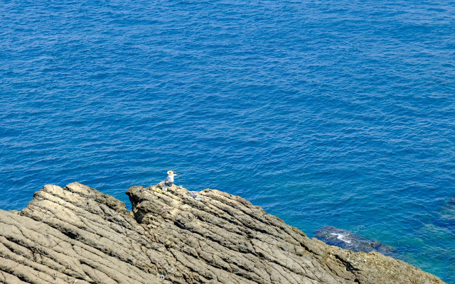 【基隆】假日漫步忘憂谷，潮境公園