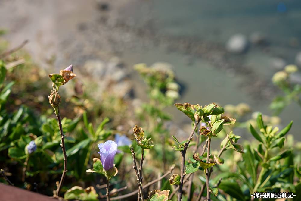 基隆景點》望幽谷 基隆看海秘境 八斗子最療癒的望海步道 登山谷忘憂去 - 滿分的旅遊札記