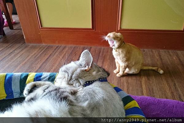 DSC_0149_mh1493806792765.jpg DSC_0149_mh1493806792765.jpg