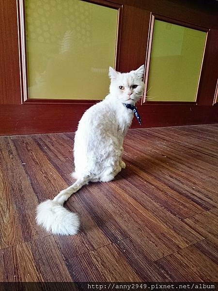 DSC_0146_mh1493806852309.jpg DSC_0146_mh1493806852309.jpg