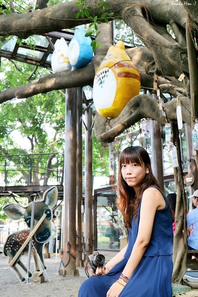 IMG_2877.JPG IMG_2877.JPG