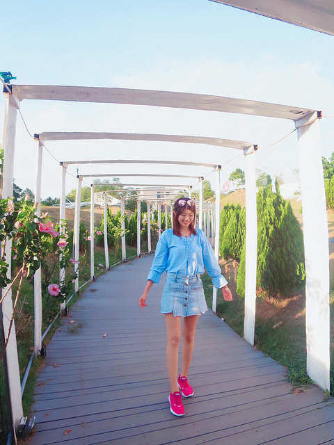 十鼓仁糖園區48