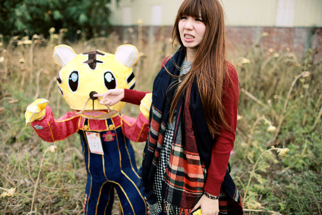 桃園地景藝術探訪 桃園地景藝術探訪