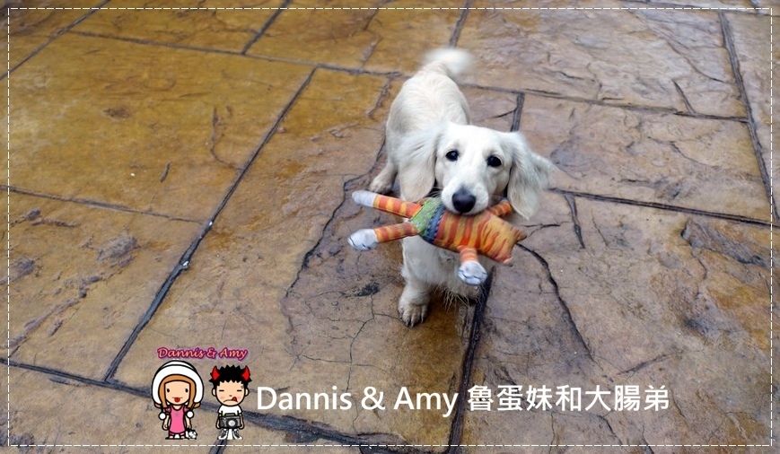 1456069219-51156749.jpg 1456069219-51156749.jpg