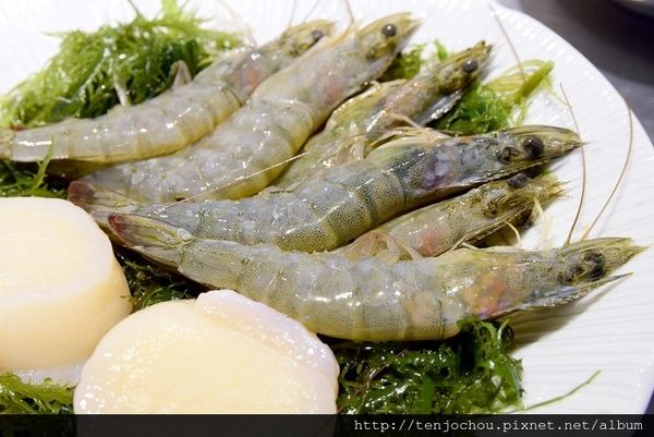 DSC_0962.JPG DSC_0962.JPG