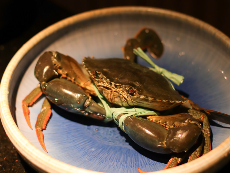 囍聚精緻鍋物，必吃爆卵海膽飯，超頂級新鮮活海鮮火鍋推薦 - Lexies Blog，寫食派