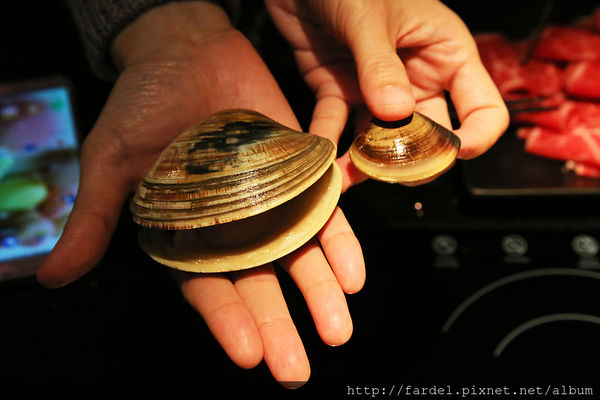 IMG_5142.JPG IMG_5142.JPG