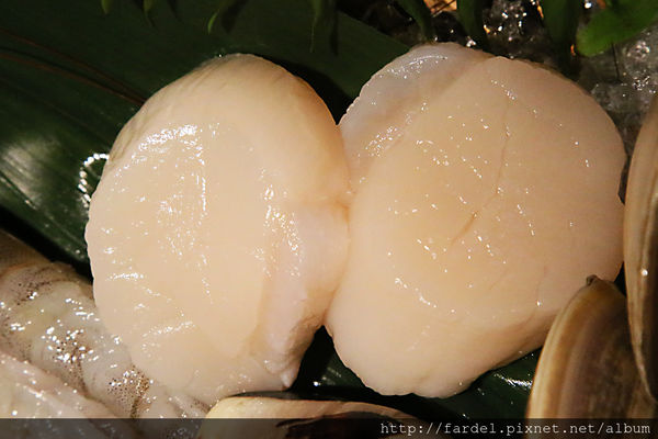 IMG_5135.JPG IMG_5135.JPG