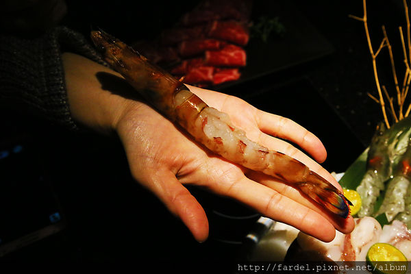 IMG_5145.JPG IMG_5145.JPG