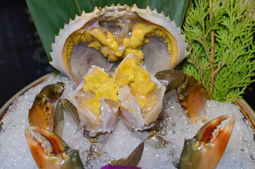 囍聚精緻鍋物，超浮誇的爆卵海膽蓋飯、新鮮海鮮鍋物