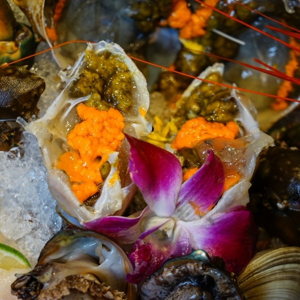 跳躍的宅男 - [台北國父捷運站美食]囍聚精緻鍋物-現流海鮮火鍋鮮美十足，滿滿海膽鮭魚卵蓋飯及黑松露雜炊更是讓人印象深刻 台北火鍋