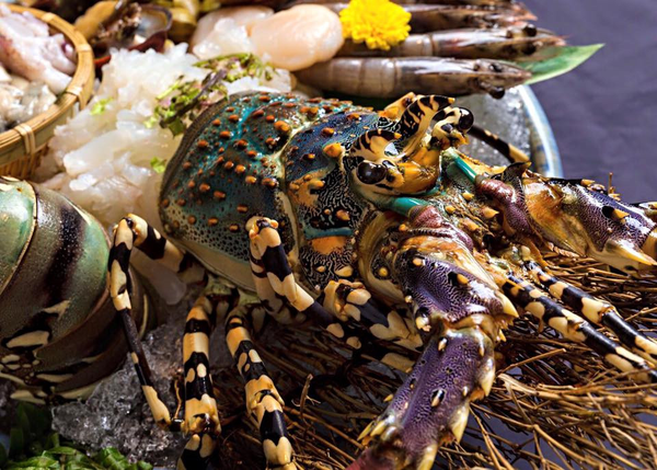 《囍聚精緻鍋物》海釣鮮饌直送火鍋裡，把新鮮抬到最高規格！