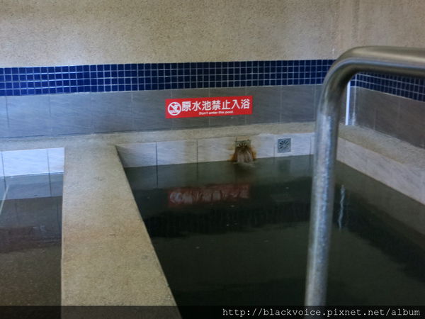 IMG_3185.JPG IMG_3185.JPG