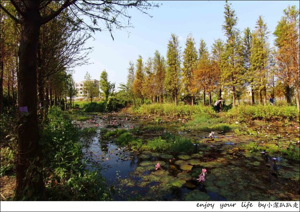 IMG_7431.JPG IMG_7431.JPG