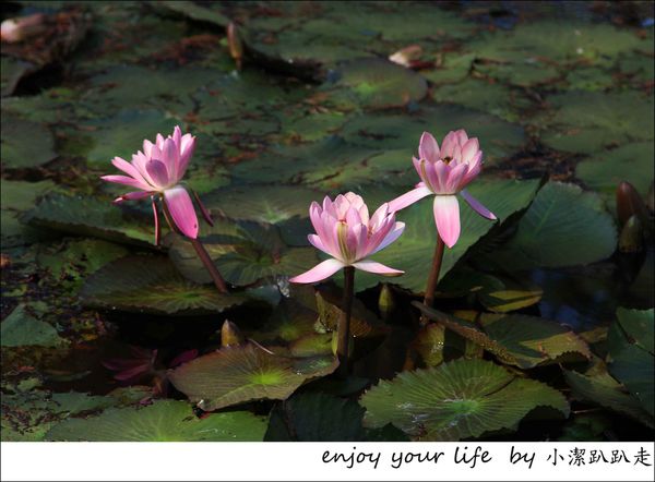 IMG_7480.JPG IMG_7480.JPG