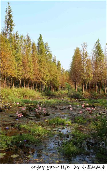 IMG_7475.JPG IMG_7475.JPG