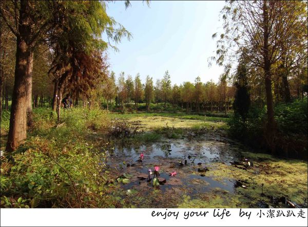 IMG_7457.JPG IMG_7457.JPG