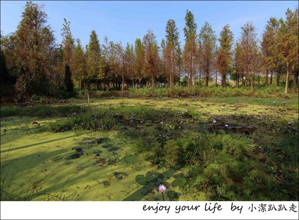 IMG_7437.JPG IMG_7437.JPG