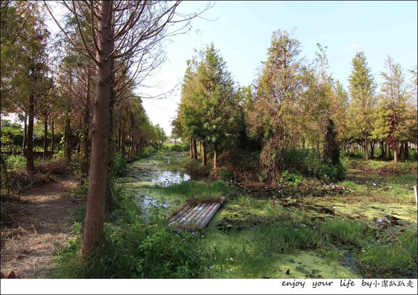 IMG_7435.JPG IMG_7435.JPG