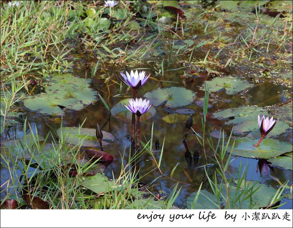 IMG_7462.JPG IMG_7462.JPG