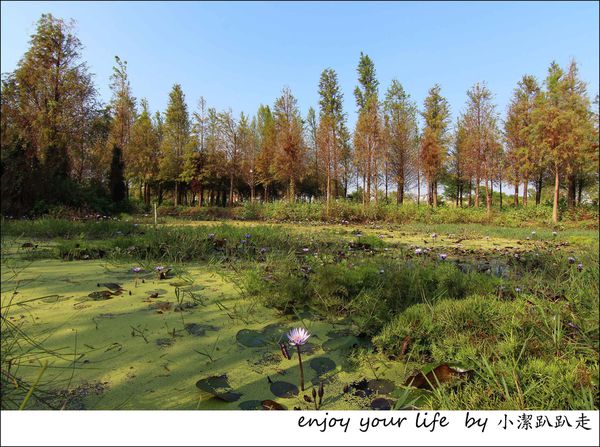 IMG_7500.JPG IMG_7500.JPG