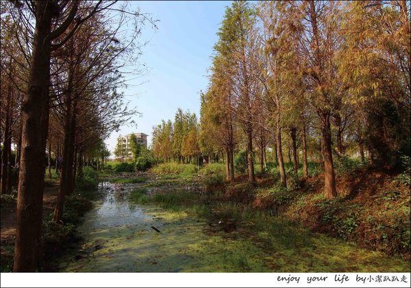 IMG_7433.JPG IMG_7433.JPG