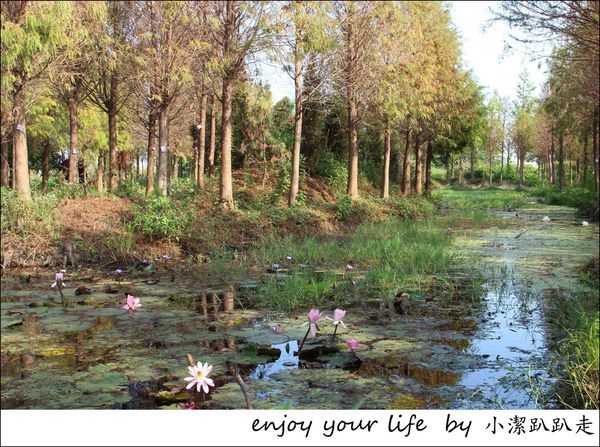 IMG_7468.JPG IMG_7468.JPG