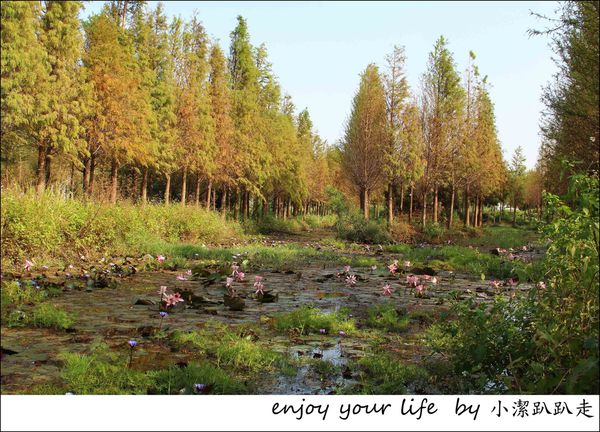 IMG_7473.JPG IMG_7473.JPG