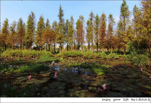 IMG_7422.JPG IMG_7422.JPG