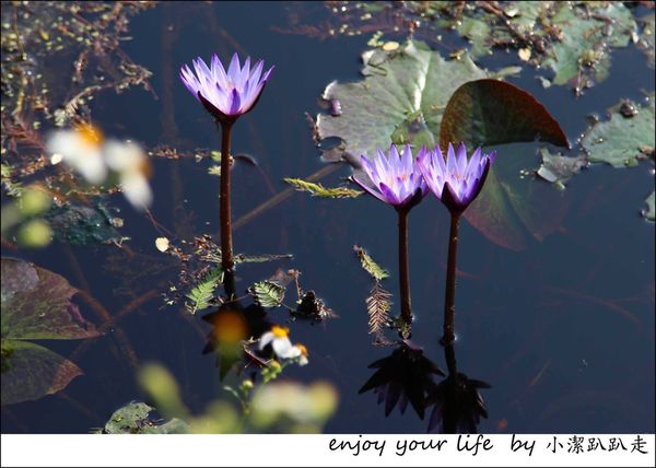 IMG_7536.JPG IMG_7536.JPG