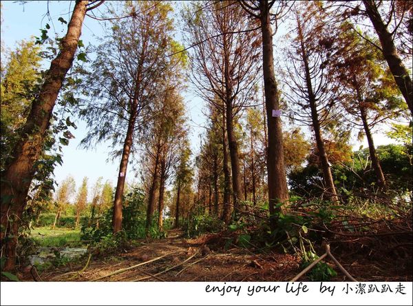 IMG_7490.JPG IMG_7490.JPG