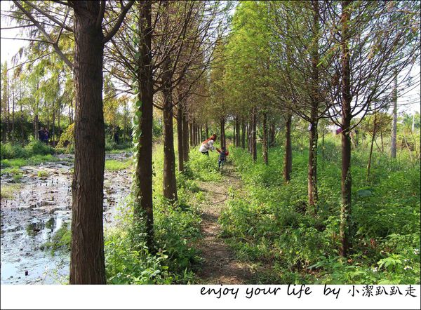 IMG_7445.JPG IMG_7445.JPG