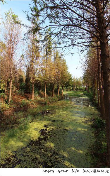 IMG_7432.JPG IMG_7432.JPG