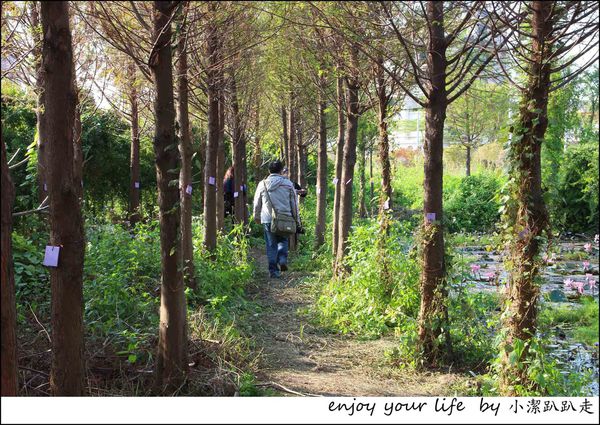 IMG_7543.JPG IMG_7543.JPG