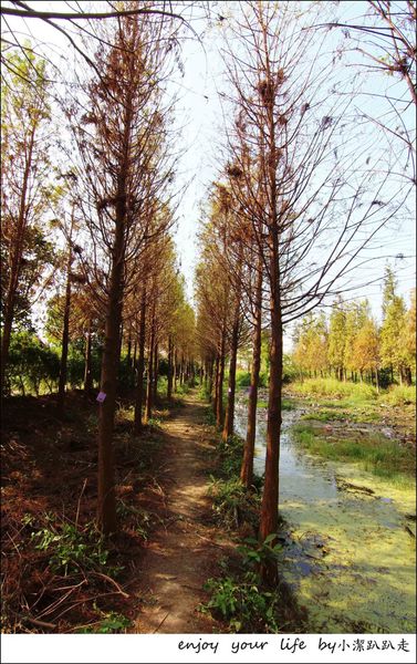 IMG_7421.JPG IMG_7421.JPG